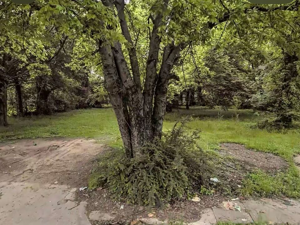 1st image of 3014 Reed Ln
