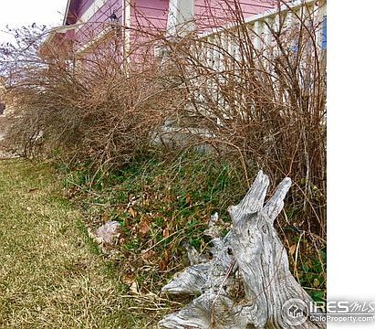 5th image of 3851 Bonneymoore Dr