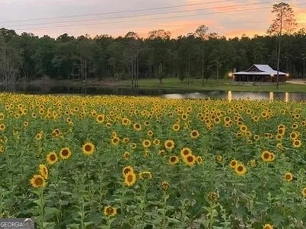 302 Sinkhole Rd, Register, GA 30452