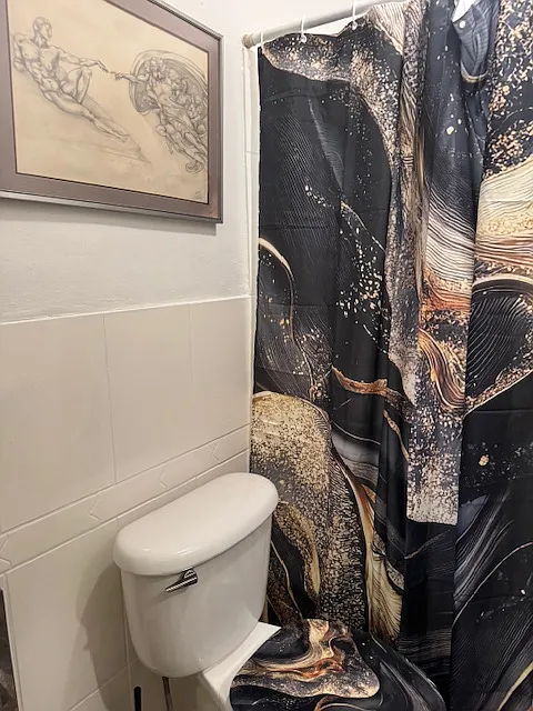 Studio, 700 sqft, $1,800 — Photo 2