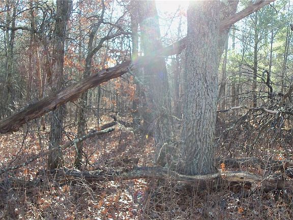 3rd image of Lot 3 Ferry Rd