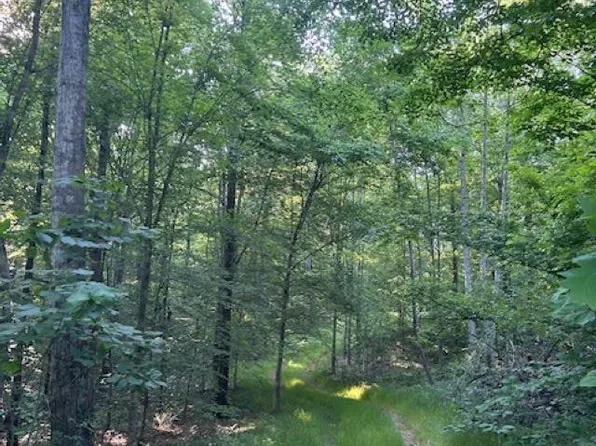 0 Greenbrier Rd, Breeding, KY 42715
