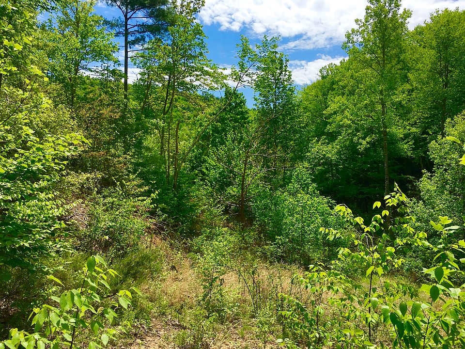 2nd image of Berry Creek Rd