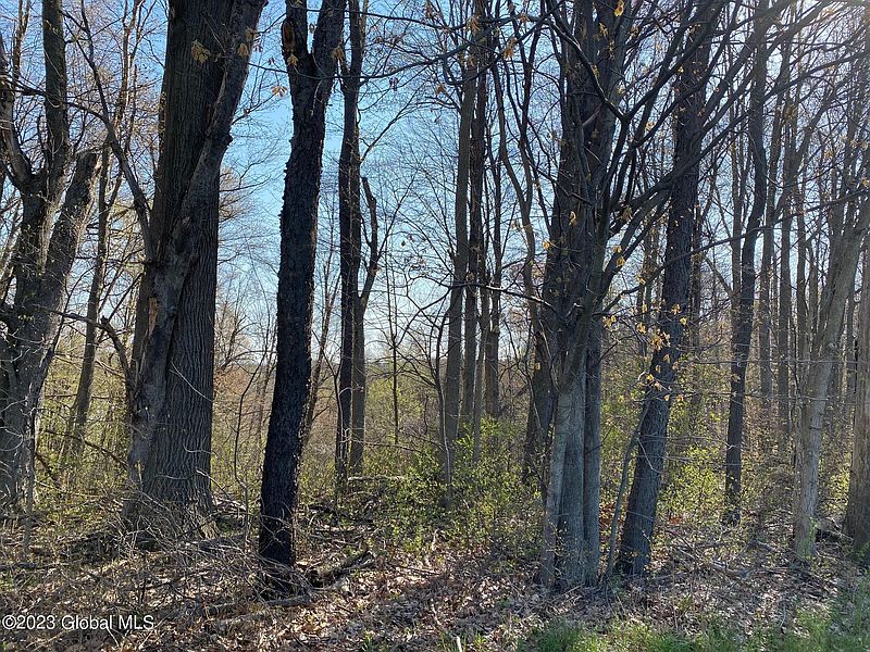 2nd image of L5 Doty Hill Road
