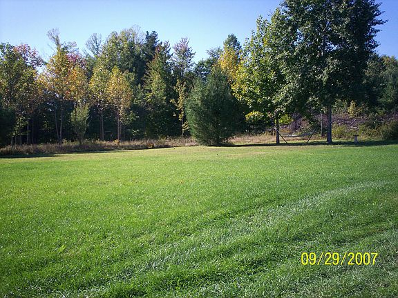 Side yard w/ hammock
