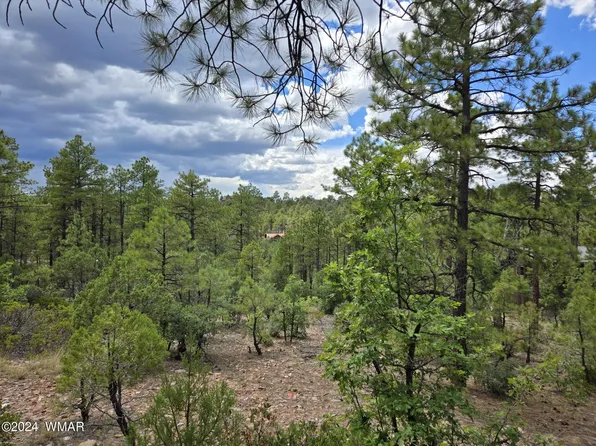 2075 S Pleasant View Dr, Show Low, AZ 85901