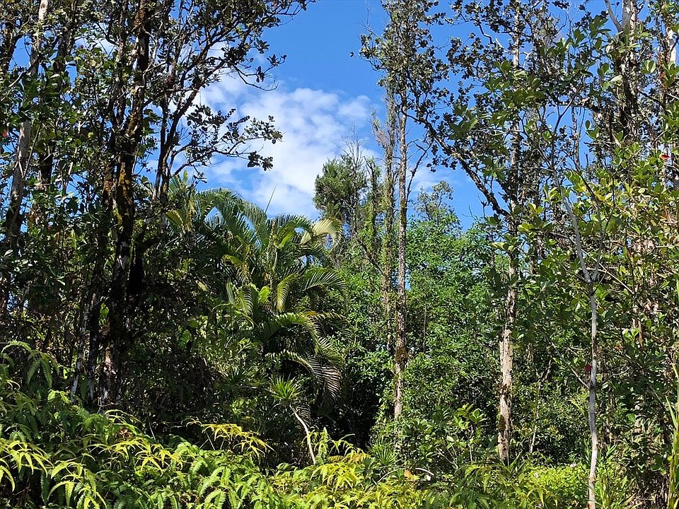 1st image of Tree Fern Dr Lot 56