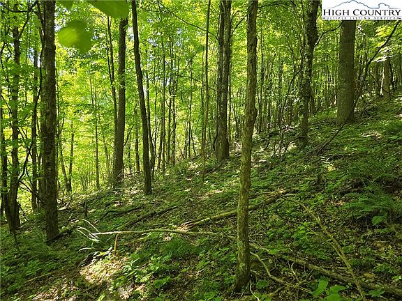 5th image of Lot 66 White Tail Trail