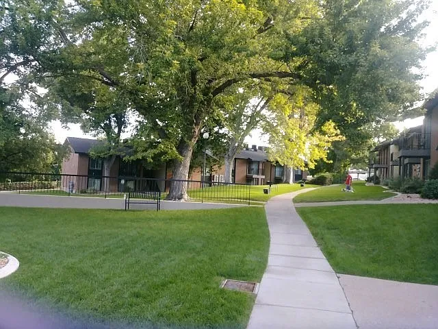 Orchard Gardens (OG) — Photo 26