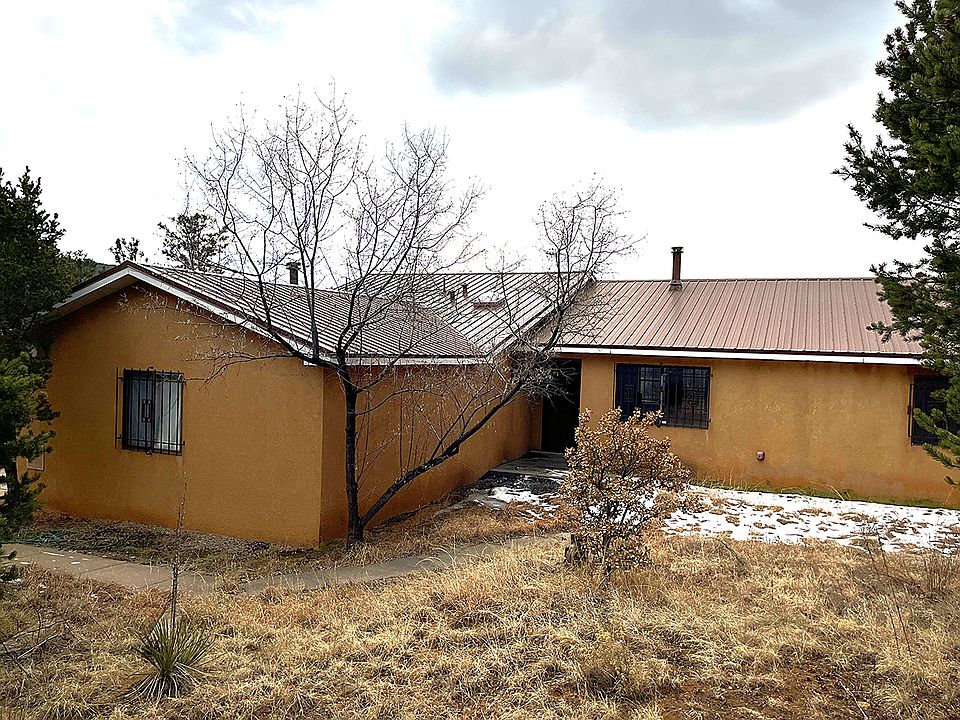 Front of house showing metal roofing, no need to worry about tile or pitch!.