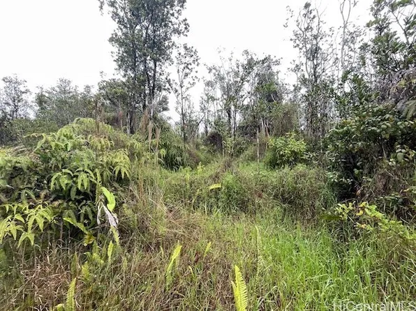 11-2872 Apuakehau Rd, Volcano, HI 96785