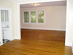 Sycamore — Photo 2