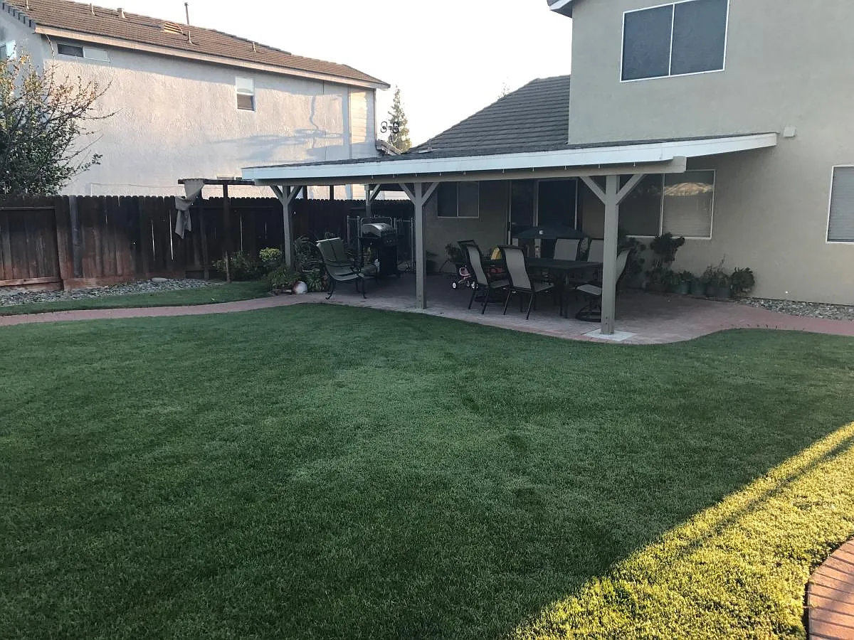 Backyard - 4217 Tackett Ct