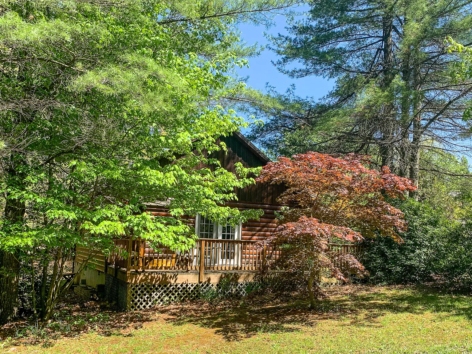 111 Laurel Oak Court - 1 — Photo 1