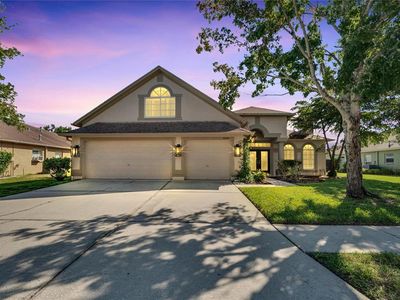 6509 Carrington Sky Dr, Apollo Beach, FL, 33572