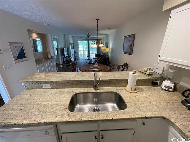 553 White River Dr — Photo 3