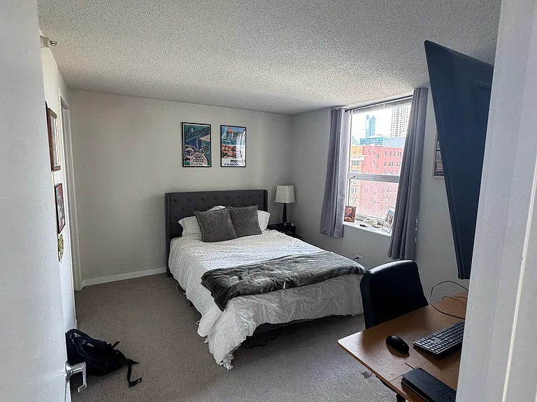 545 N Dearborn St #1307 — Photo 16