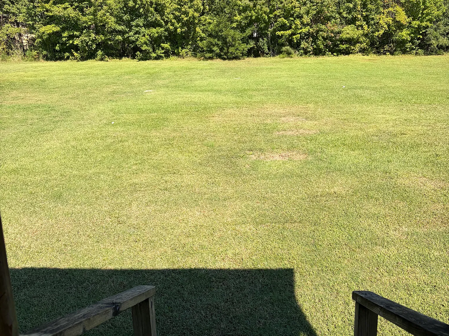 2 bed, 900 sqft, $1,000 — Photo 3