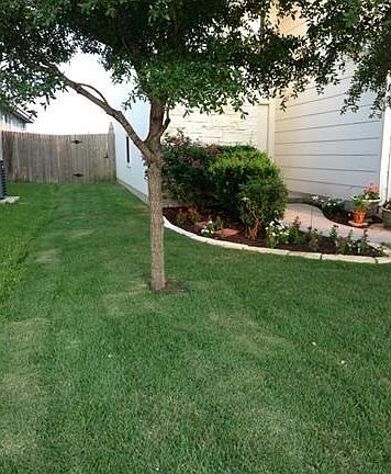 Luscious front lawn in summer!