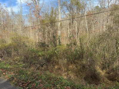 0 Maple Creek Rd, Williamsburg, KY, 40769