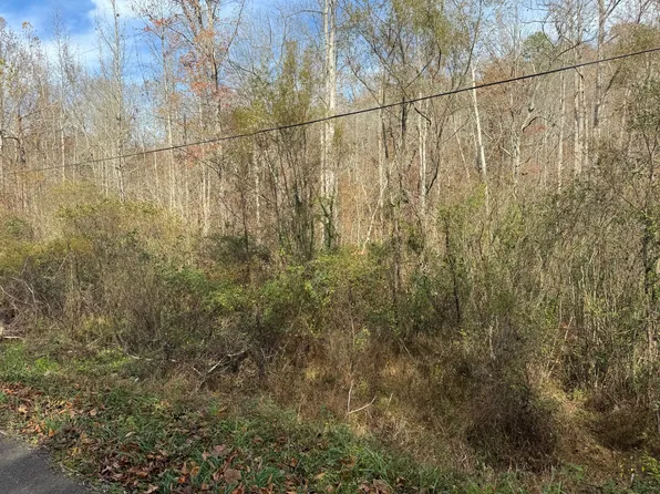 0 Maple Creek Rd, Williamsburg, KY 40769