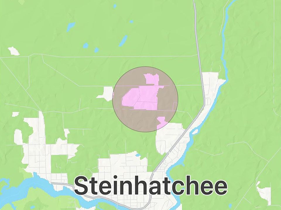 1405 Oak Pond Ln NE, Steinhatchee, FL 32359 Zillow