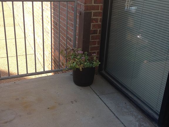 Patio area