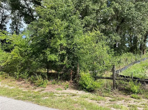 Perkins Ave, Coleman, FL 33521