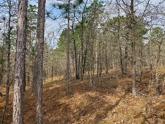 3rd image of Lot 22 Woodland Circle