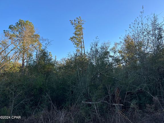 4th image of Deer Run Cir