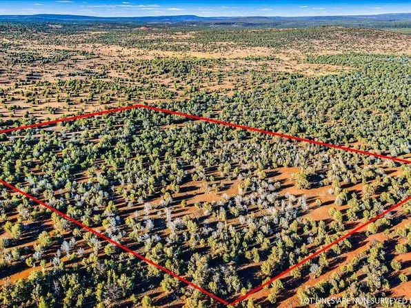 8602 N TEN TANKS Road #157, Ash Fork, AZ 86320