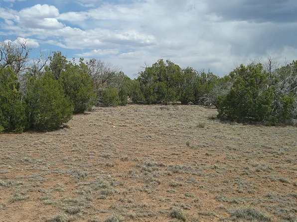 Show Low Pnes Lot 189, Concho, AZ 85924