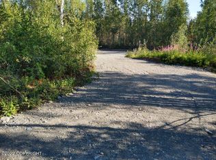 20216 E Caswell Lakes Rd, Willow, AK 99688