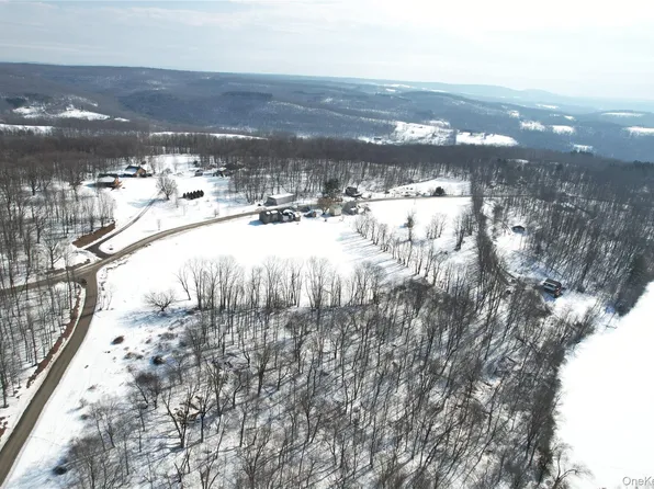 299-301 Stump Pond Road, Livingston Manor, NY 12758