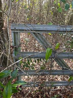 3rd image of 50 E Pinhook Rd