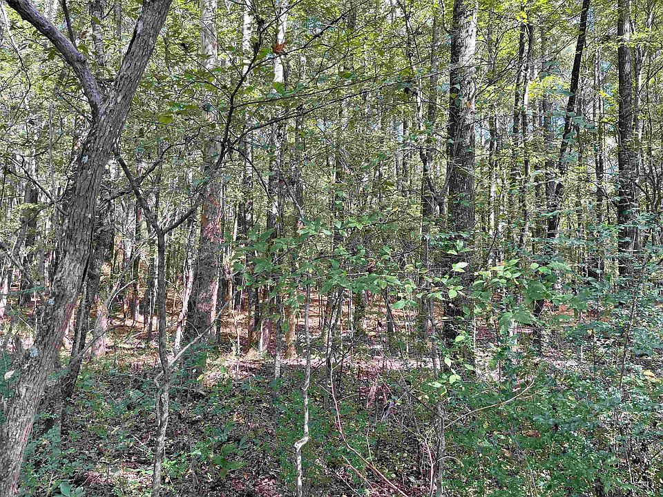 2nd image of 4A Carter Rd