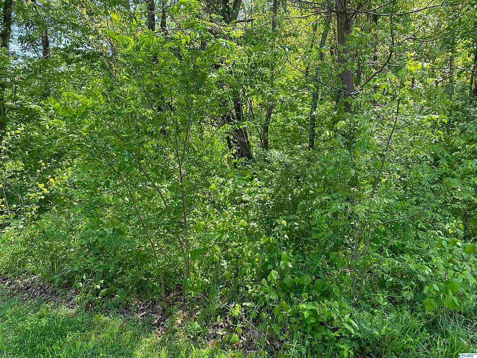 2nd image of LOT 16 Dogwood Ln NW