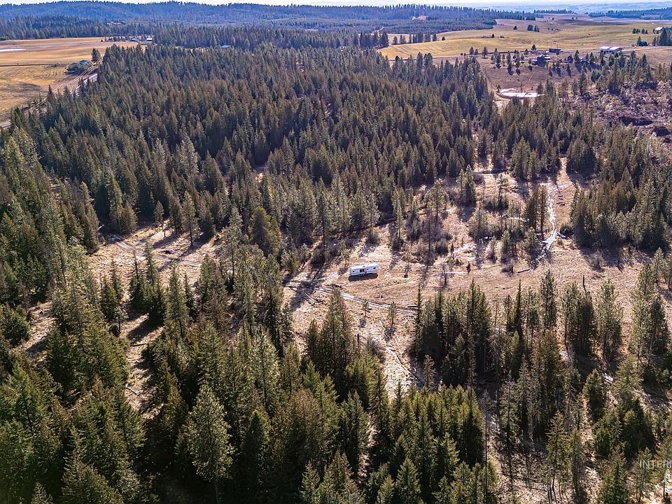 1st image of Freeman Creek Rd
