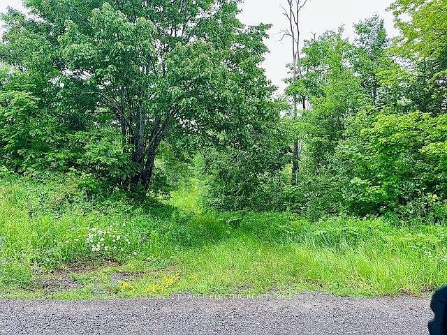 2nd image of 0 Lasswade Rd