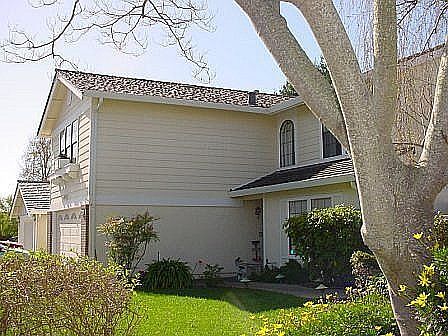 Palomares Hills Beauty