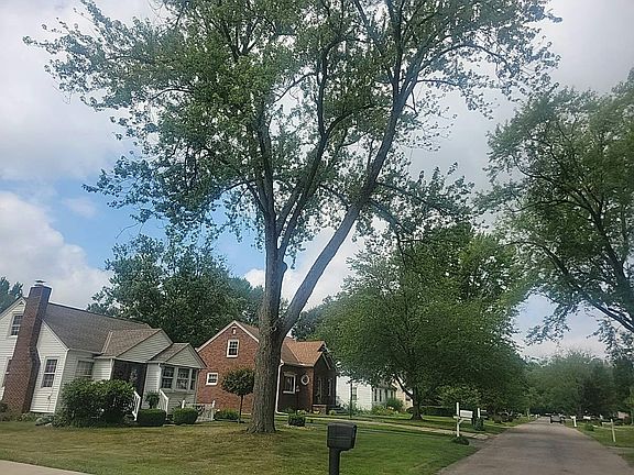 5th image of 41814 Edison Ct
