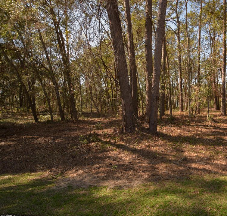 2nd image of 58 Bermuda Pointe Cir