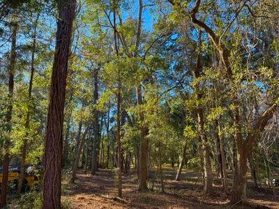LOT 2 E Claussen House Dr, Edisto Island, SC, 29438