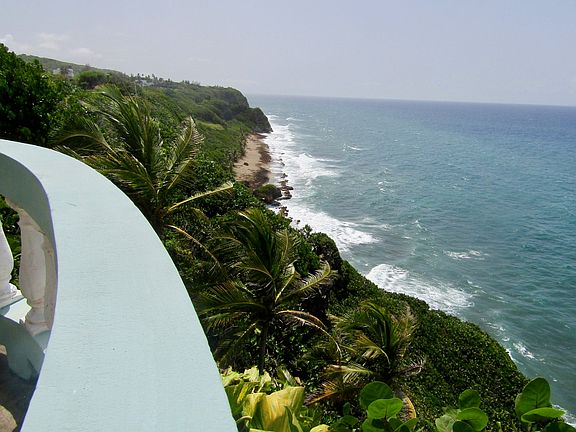 View From Lower Terrace of Beach And Reefs Below - Excellent Whale Watching Opportunities During The Season!