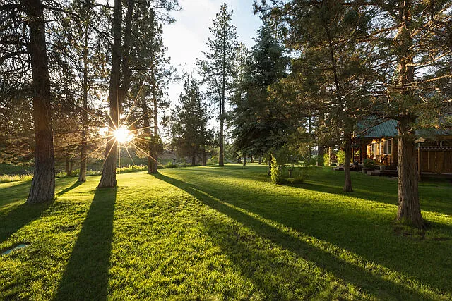 Lawn and river in front of house