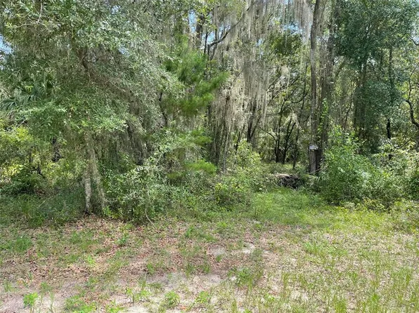 LOTS 15 & 16 SW SHOREWOOD DRIVE LOT 15, DUNNELLON, FL 34431