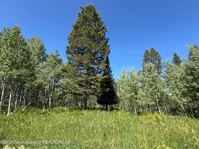 52 W Forest Dr, Star Valley Ranch, WY, 83127