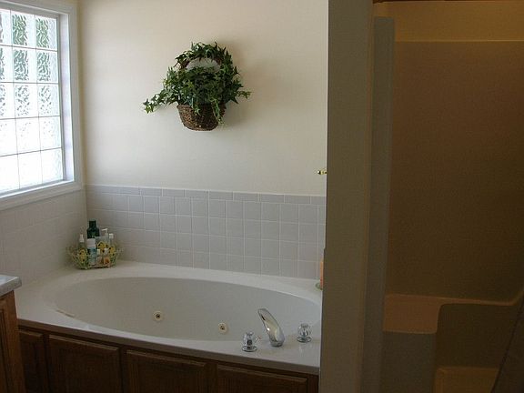 master bath with whirlpool tub