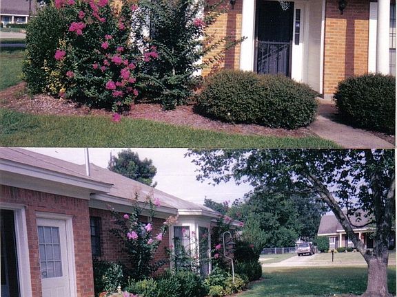 2nd image of 565 Deerfield Dr