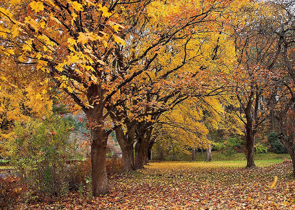 2611 Rich Valley Rd, Emporium, PA 15834 Zillow